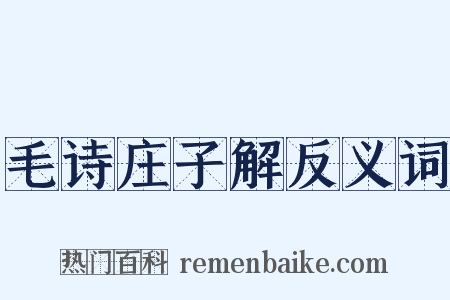 毛诗庄子解反义词是什么意思的图片